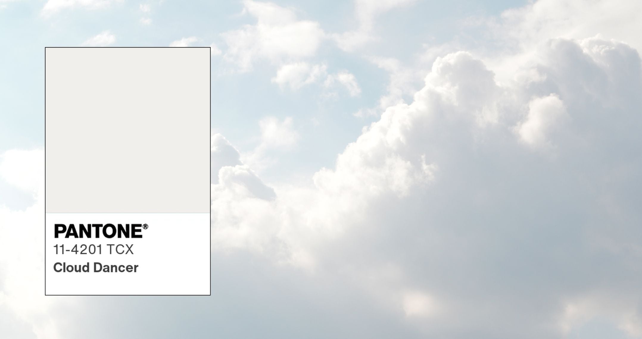 The Quiet Confidence of Cloud Dancer: Pantone's 2026 Color of the Year