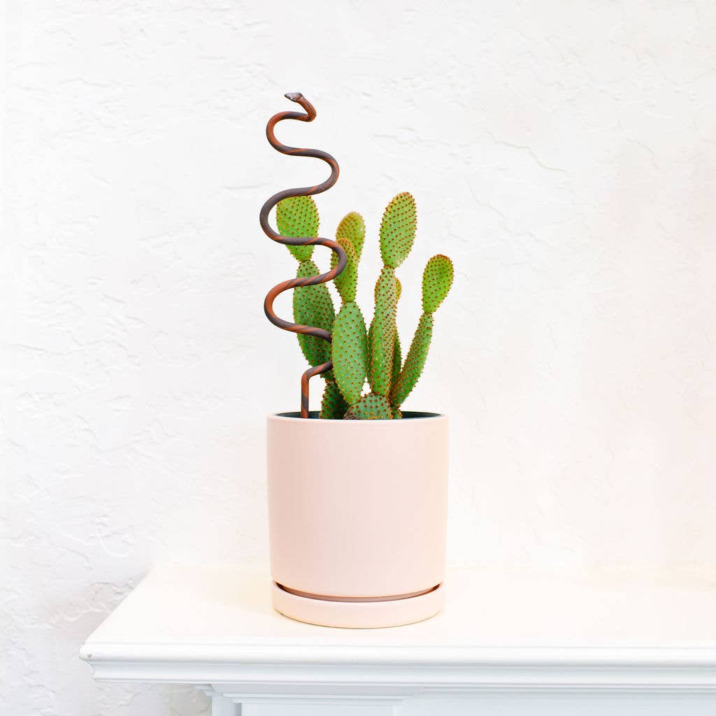 Snake Plant Stake | Chocolate + Terracotta