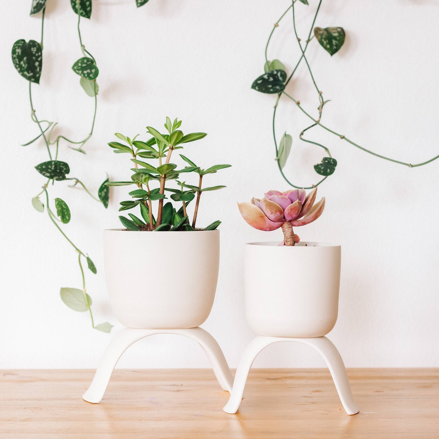 High Rise Classic Planter