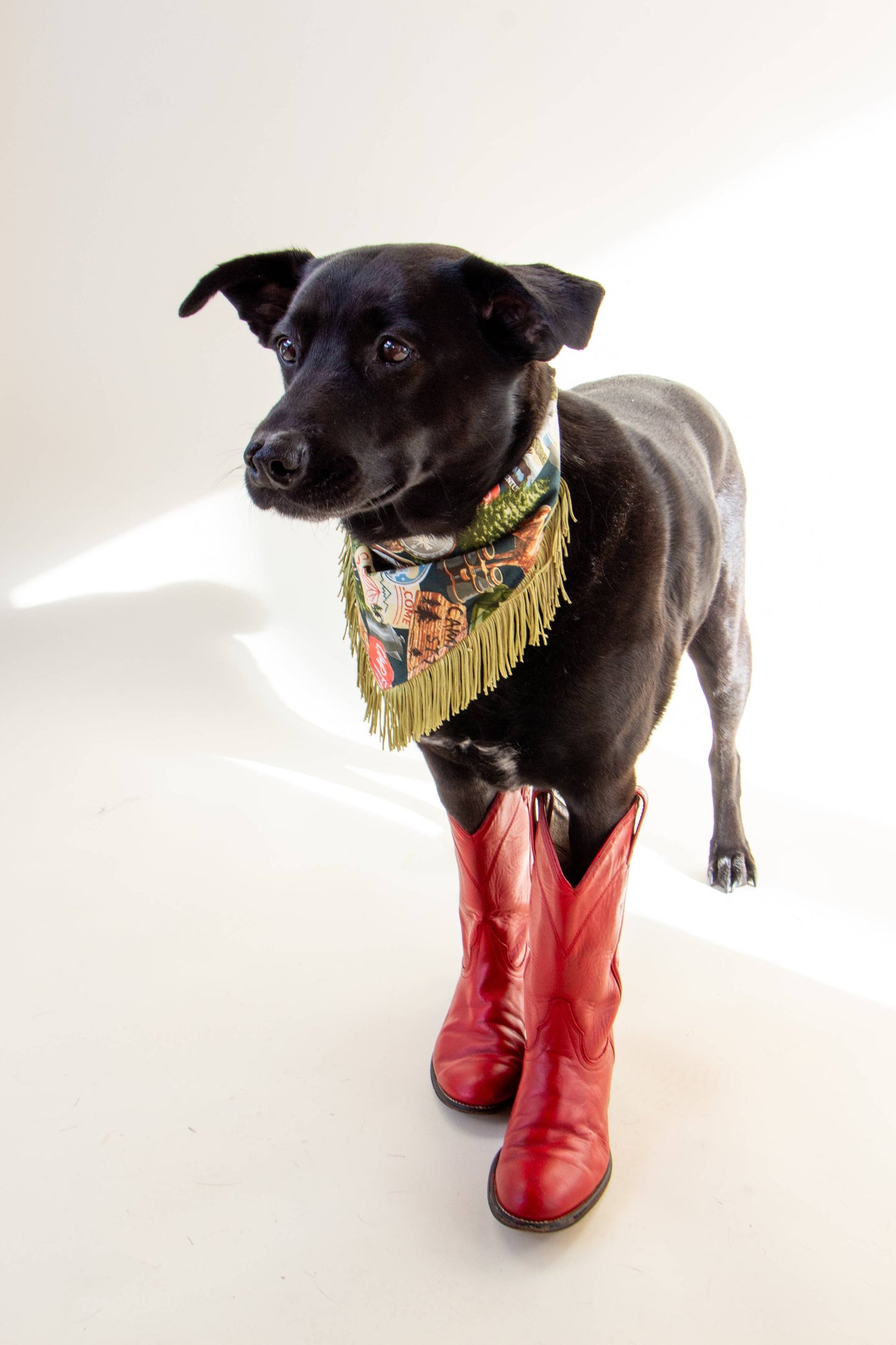 Fringed Dog Bandana | Gone Camping (Multiple Sizes)