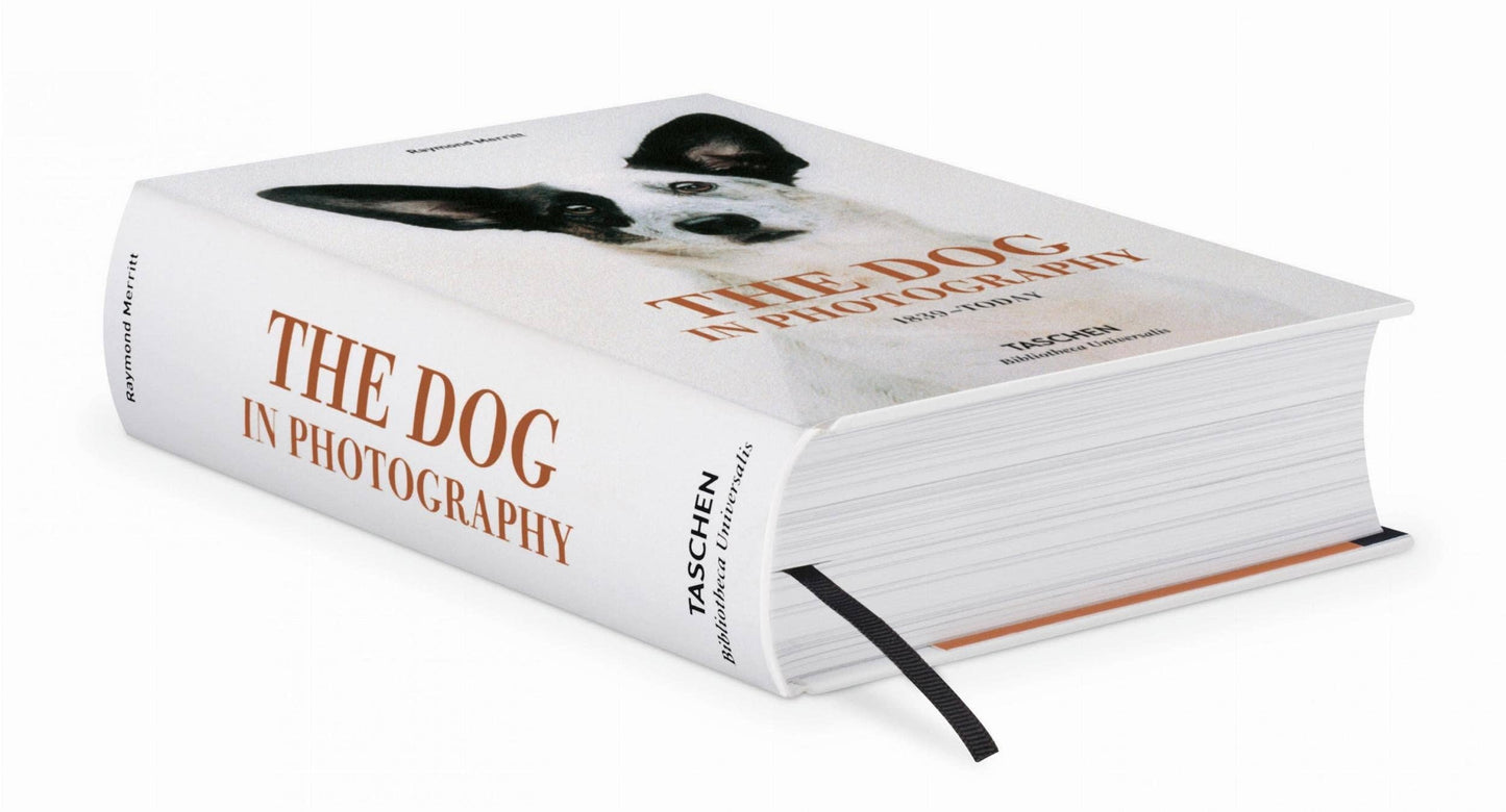 The Dog in Photography | 1839–Today