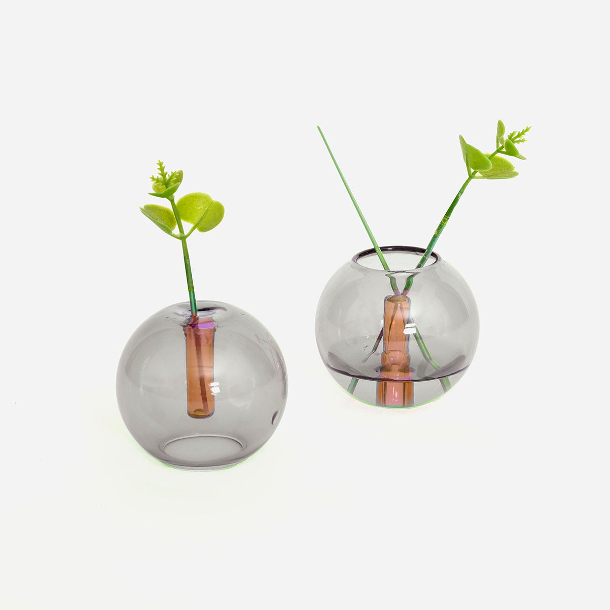 Two spherical glass vases with a smoky grey exterior color and an amber glass tube inside sit side by side, each holding a green sprig