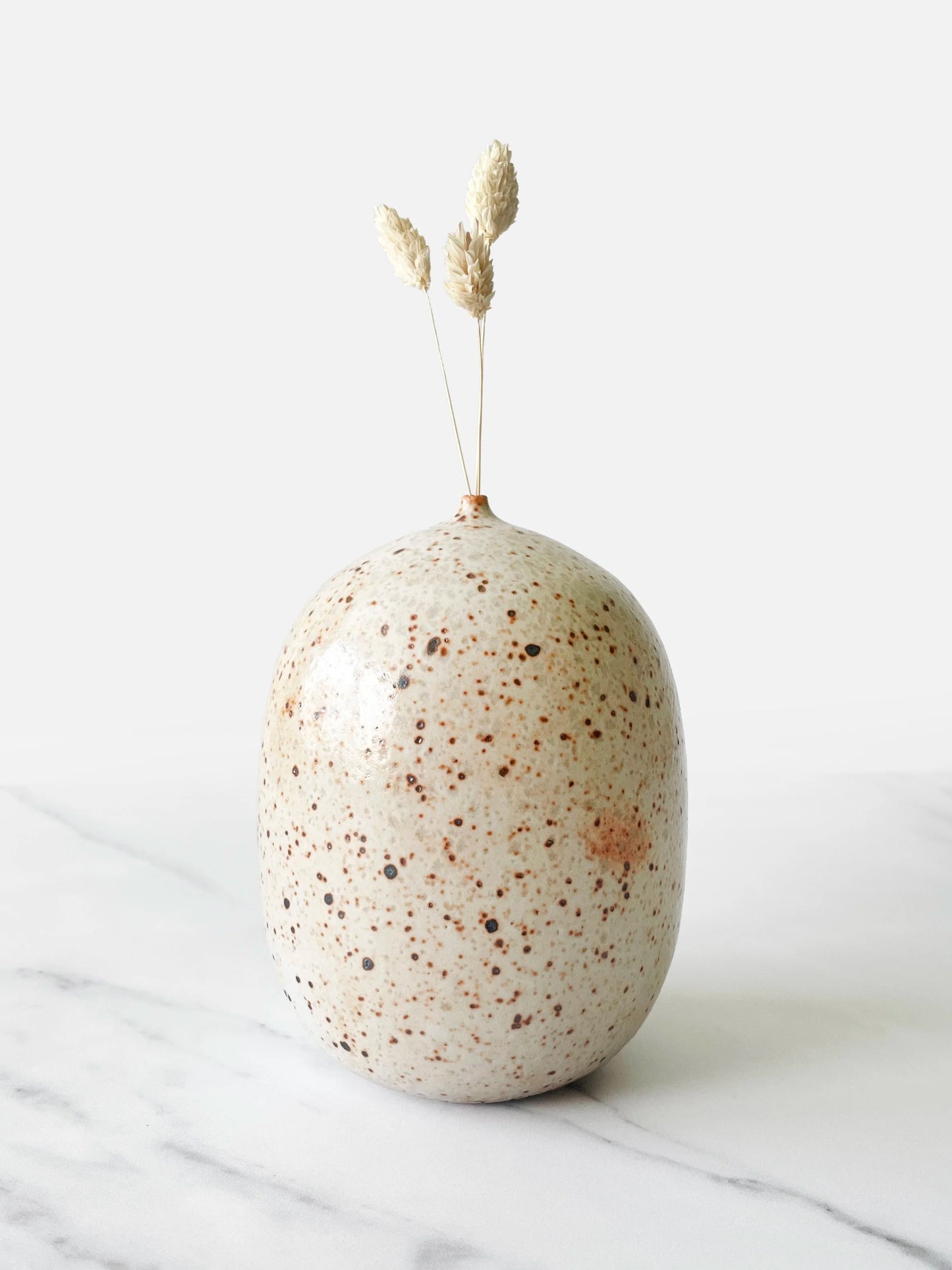 Speckled white and brown ceramic vase with dried stems on a marble surface