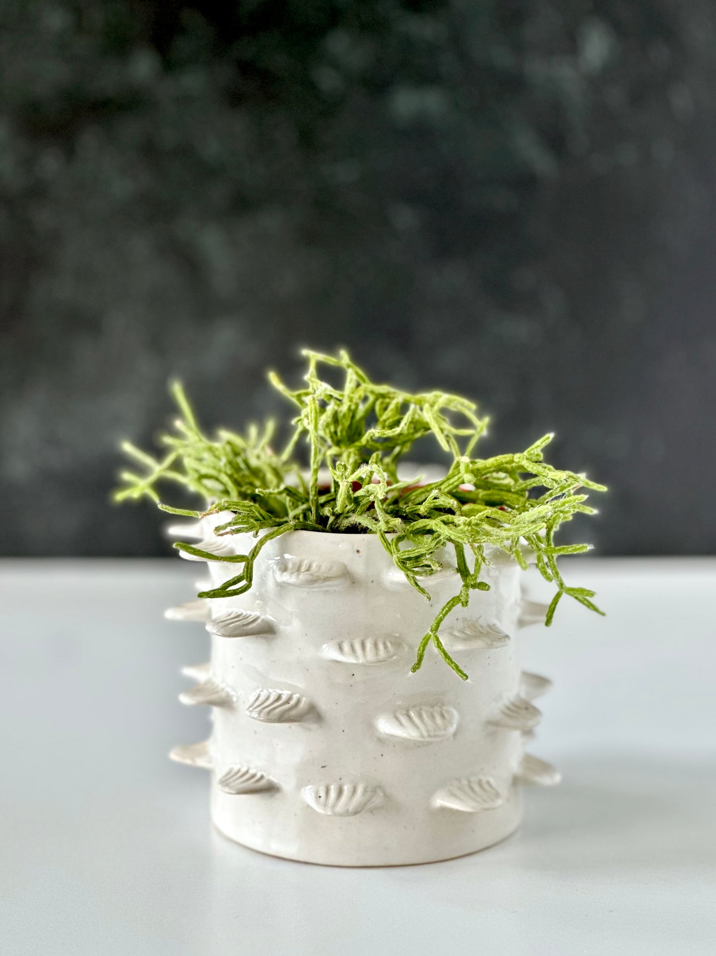 Feather Vase (Small)