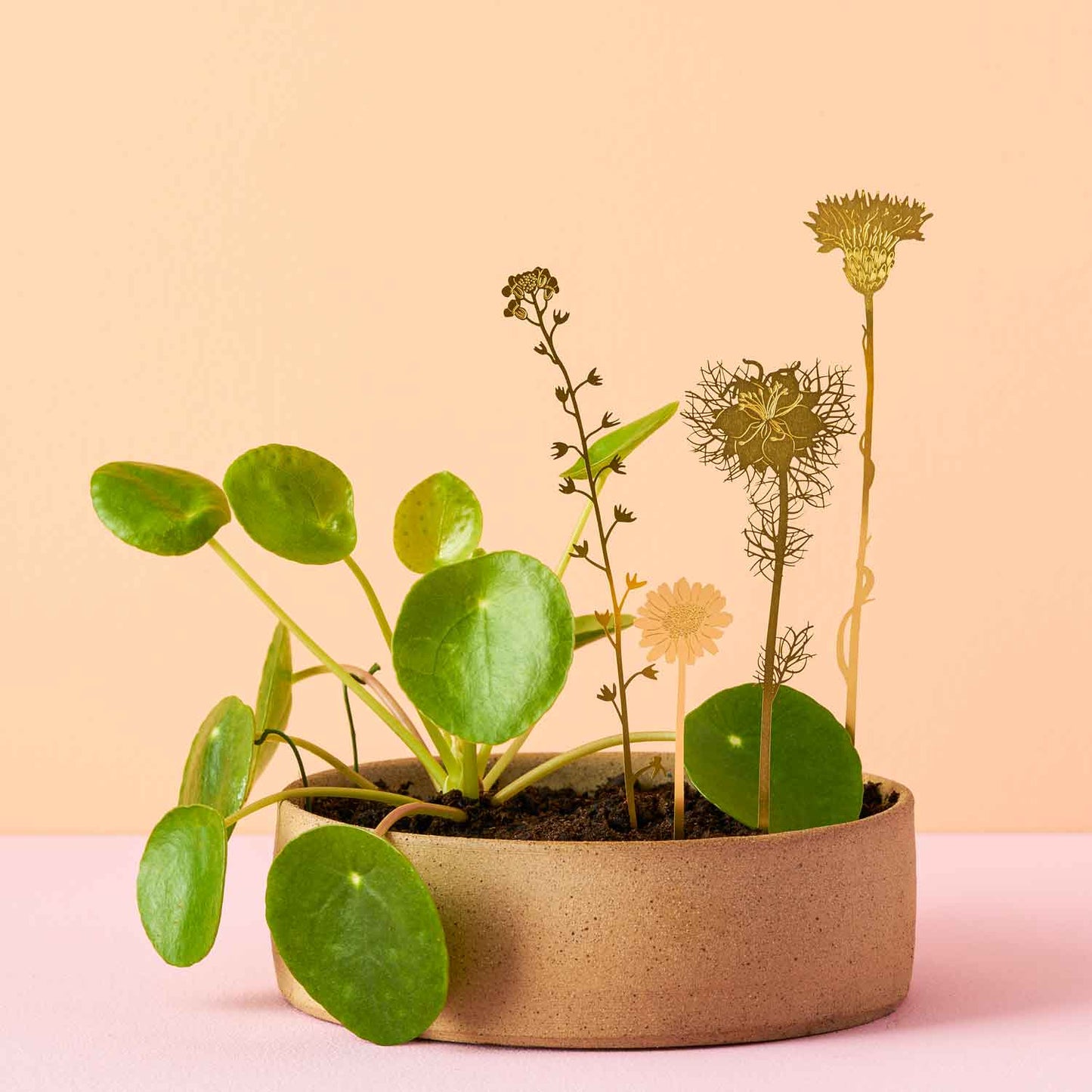 Brass Wildflower Blooms