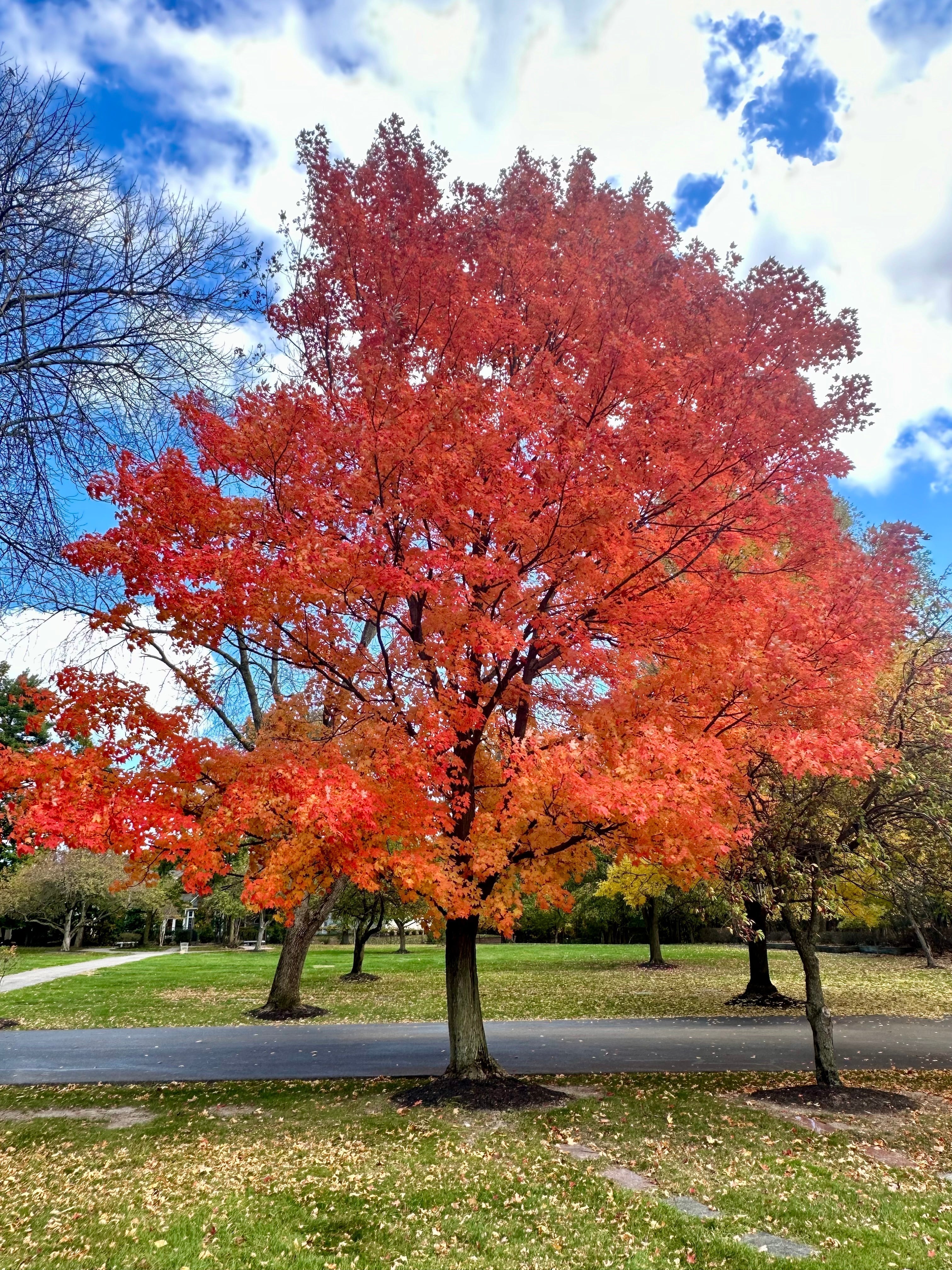 From Summer to Fall: A Shopping Guide for the Seasonal Shift