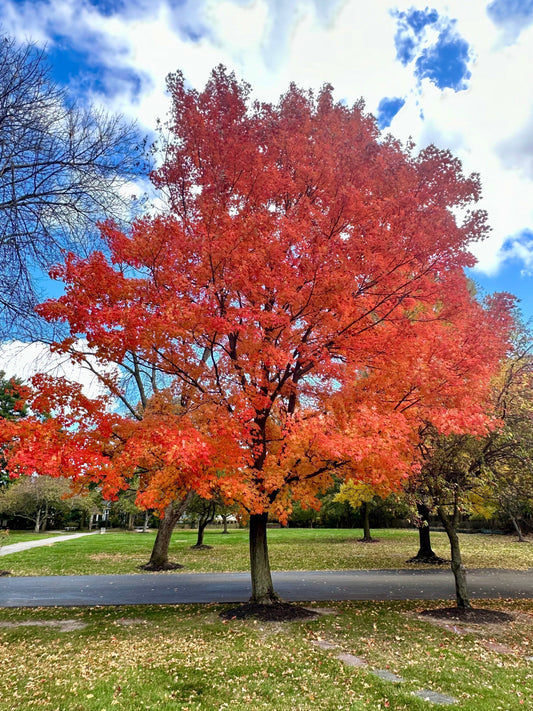 From Summer to Fall: A Shopping Guide for the Seasonal Shift