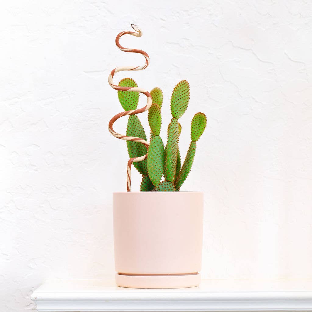 Snake Plant Stake | Ivory + Terracotta
