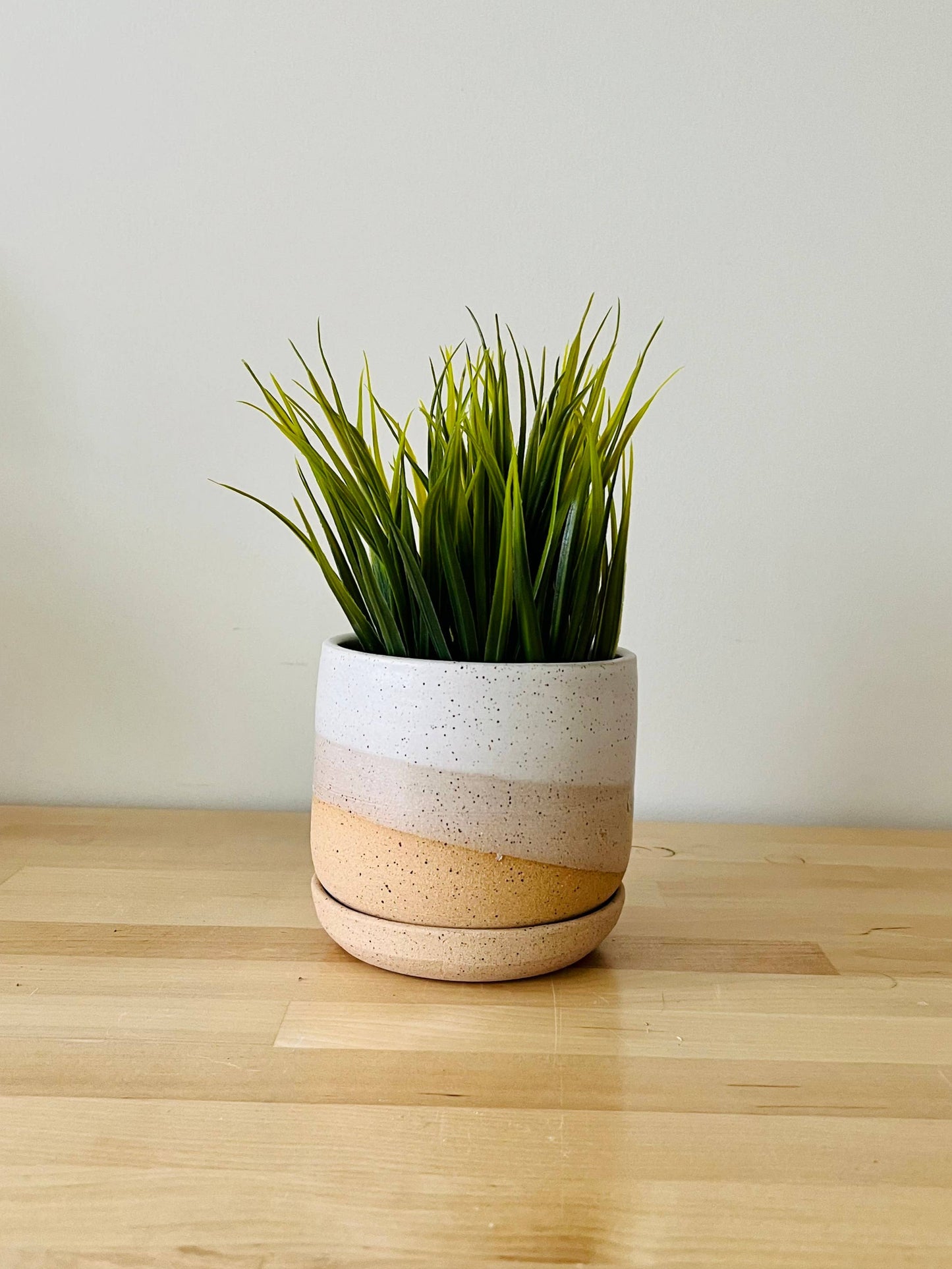 High Desert Planter | Large