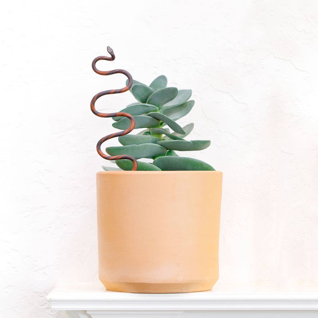 Snake Plant Stake | Chocolate + Terracotta