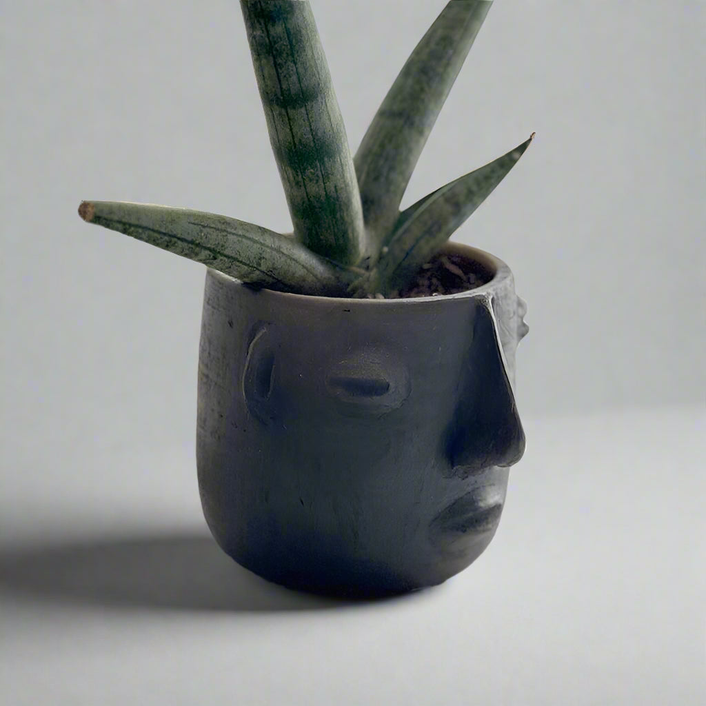 Black face-shaped Oaxacan planter with a succulent with a pale gray background