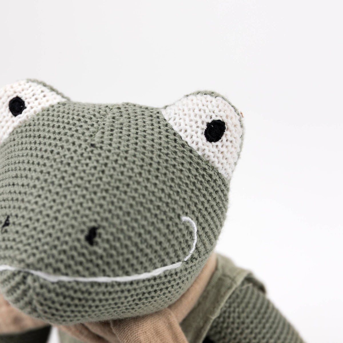 Jeremy the Plushie Frog