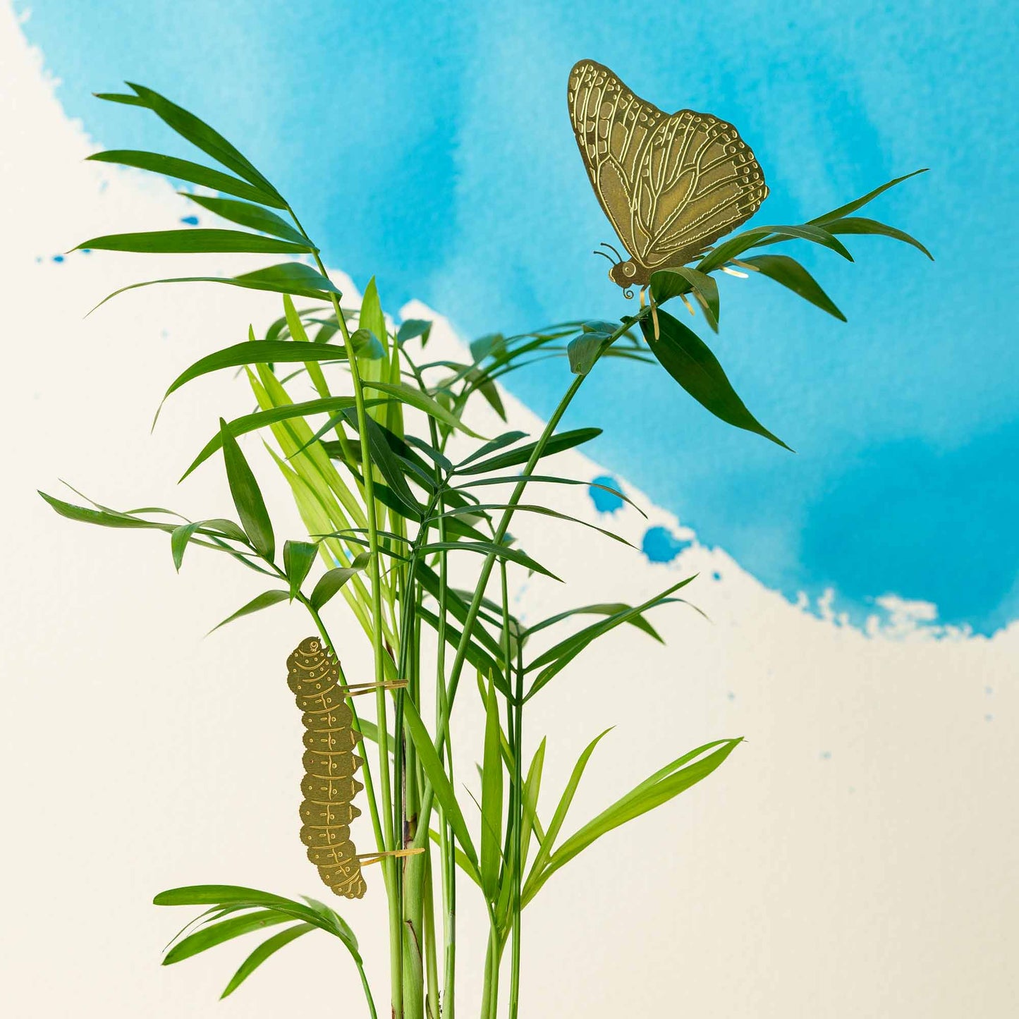 Brass Butterfly