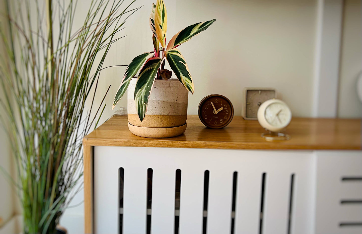 High Desert Planter | Large