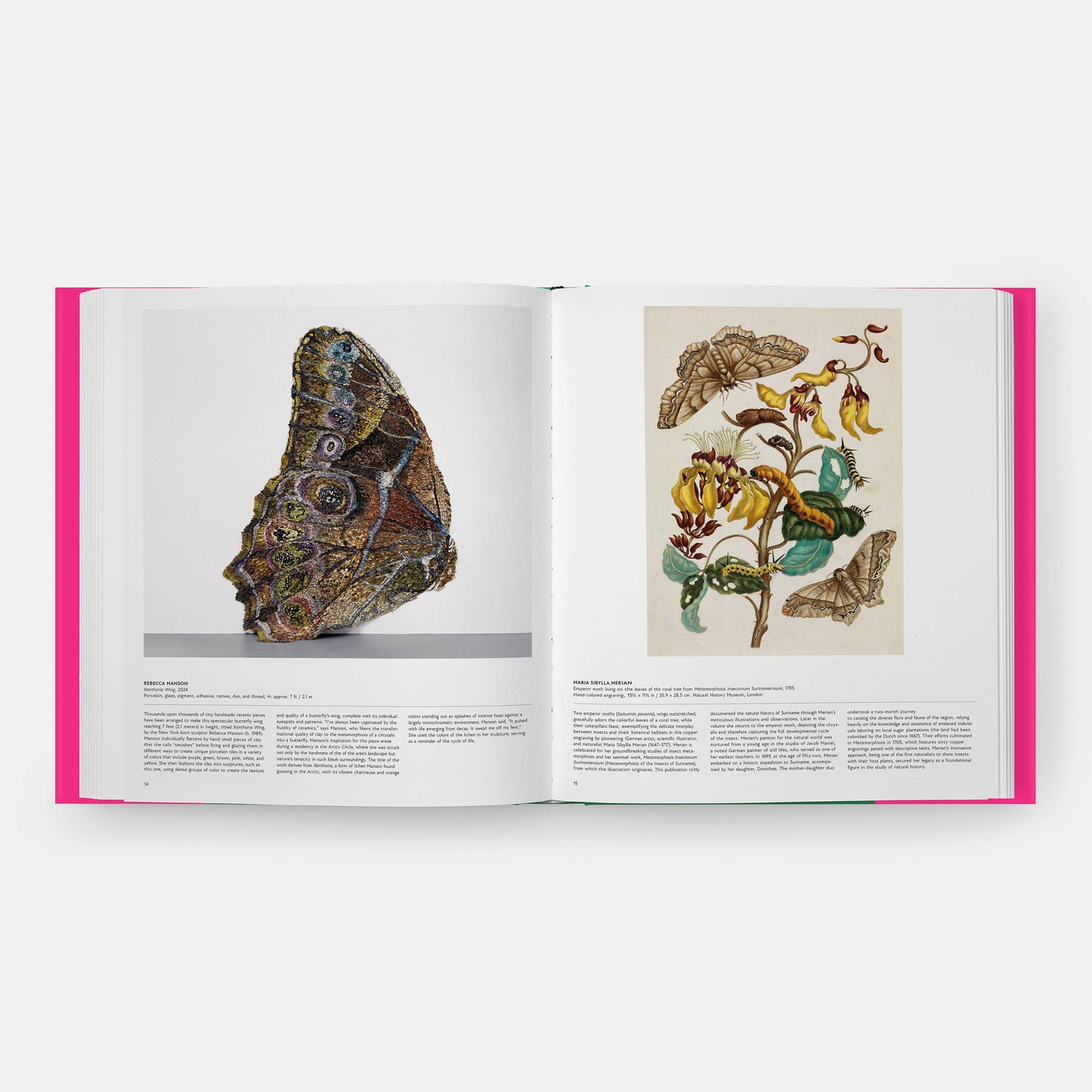 Butterfly: Exploring the World of Lepidoptera