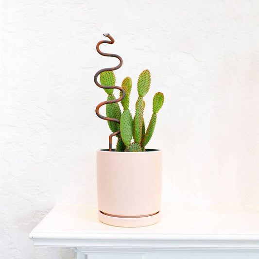 Snake Plant Stake | Chocolate + Terracotta