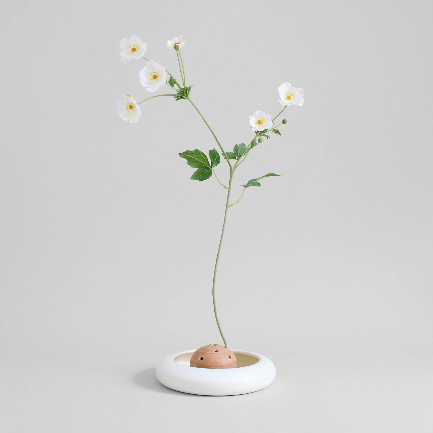 Terracotta Frog Vase