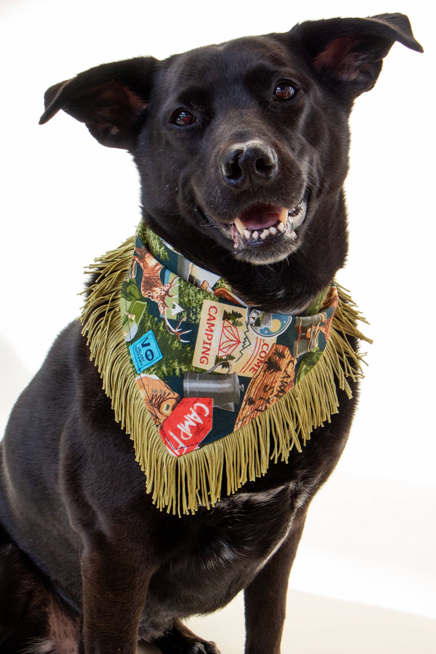 Fringed Dog Bandana | Gone Camping (Multiple Sizes)