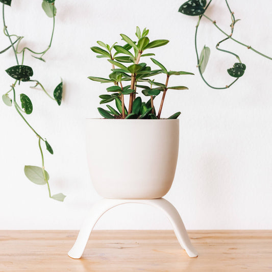 High Rise Classic Planter