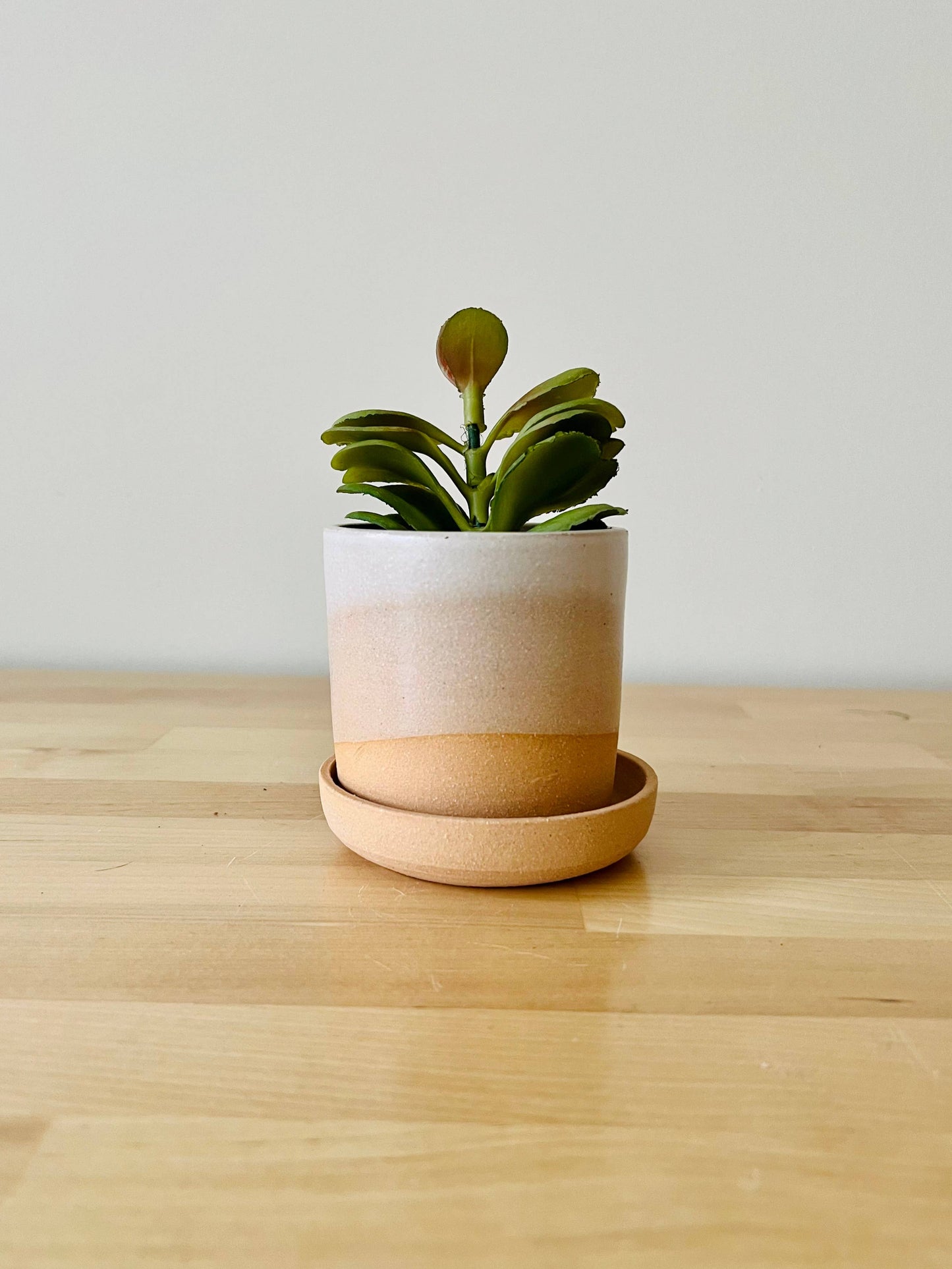 High Desert Planter | Small
