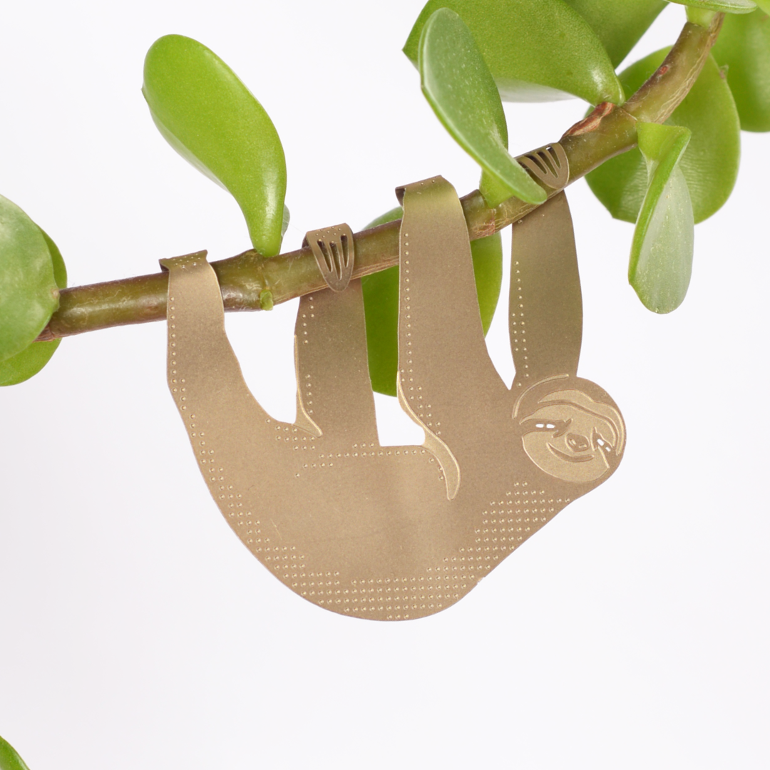Brass Sloth