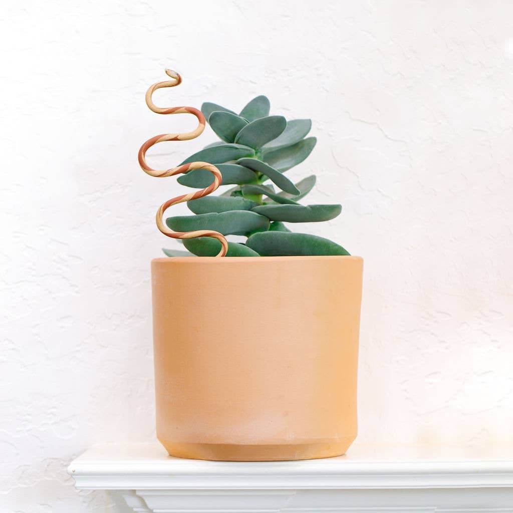 Snake Plant Stake | Sand + Terracotta