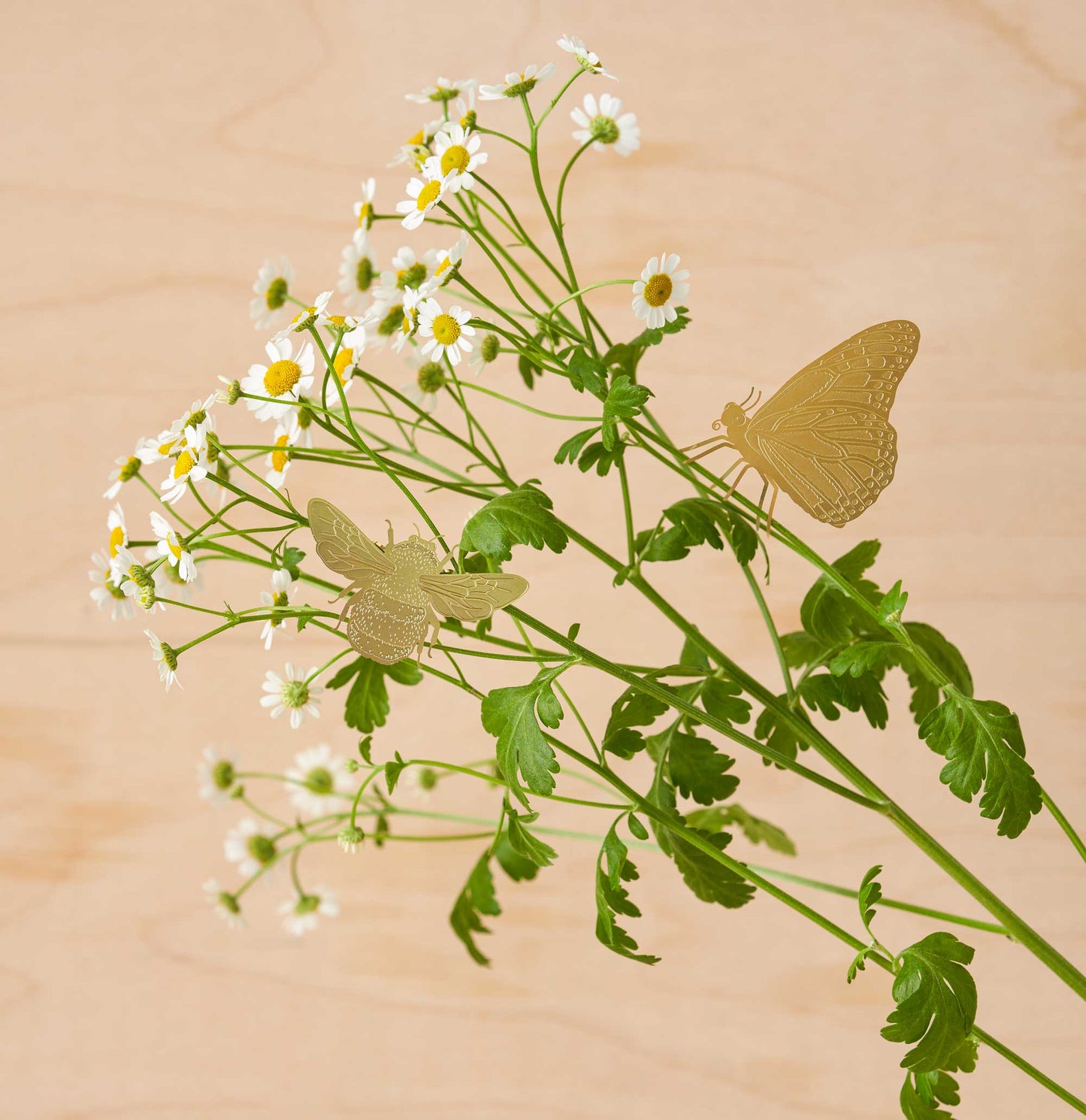 Brass Butterfly