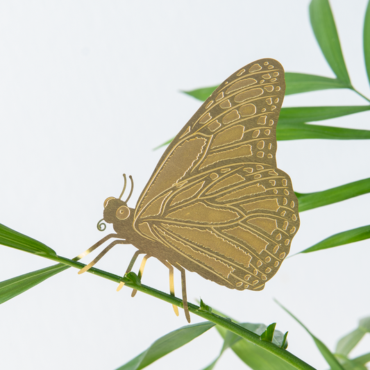 Brass Butterfly