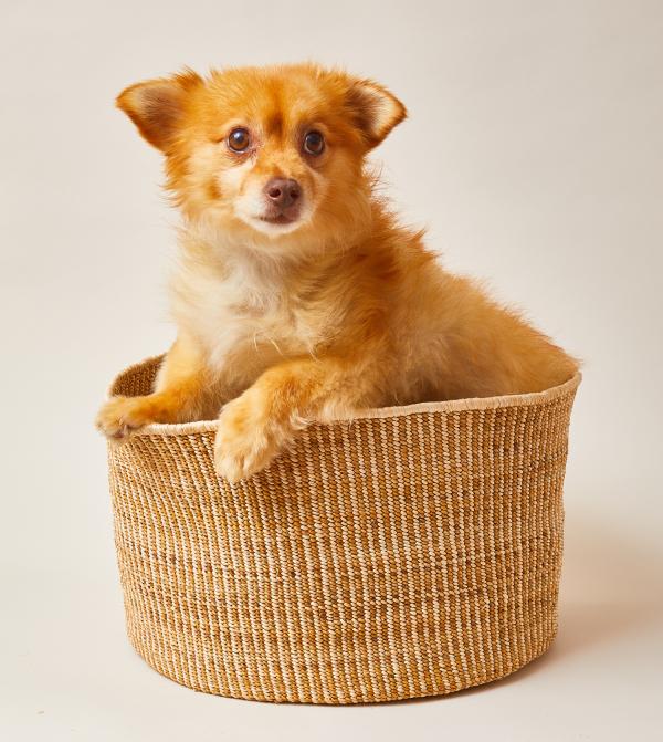 Banana Leaf Floor Basket | Mixed Natural