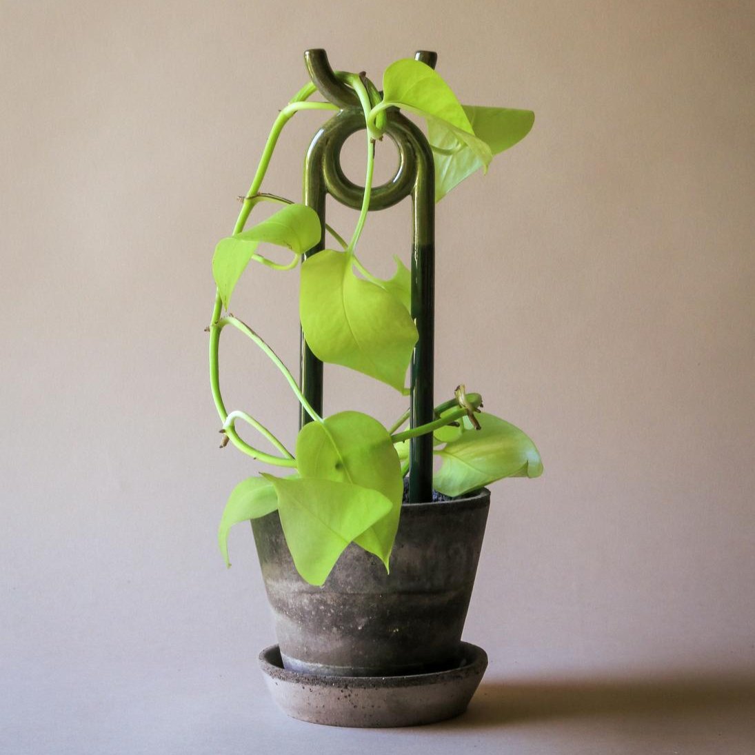 Oni Ceramic Plant Stake