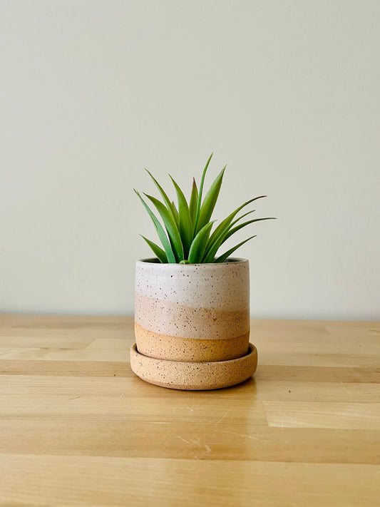 High Desert Planter I Small