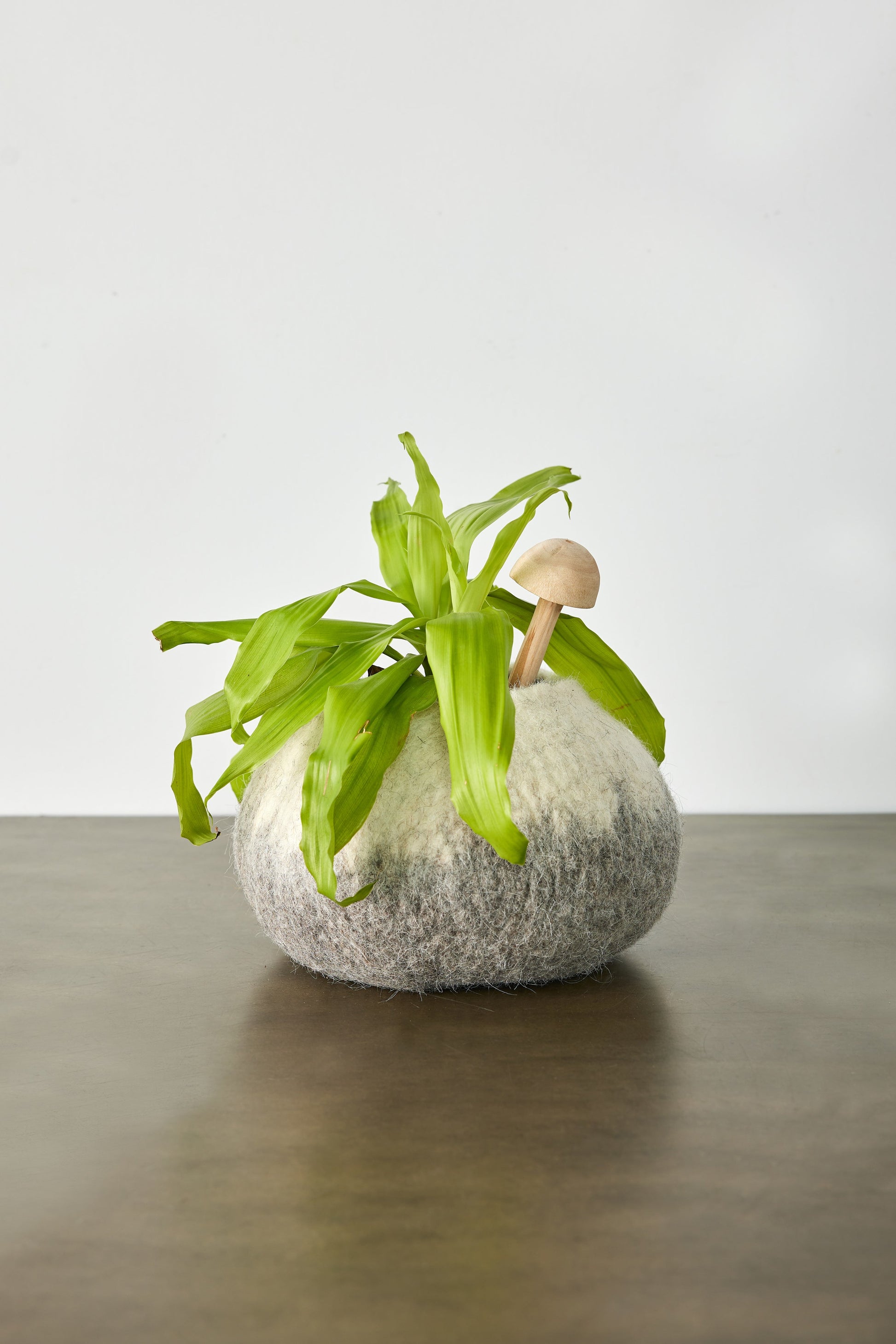 An ivory and grey ombre wool decorative basket with a green plant placed inside sits on a wooden surface with a white background