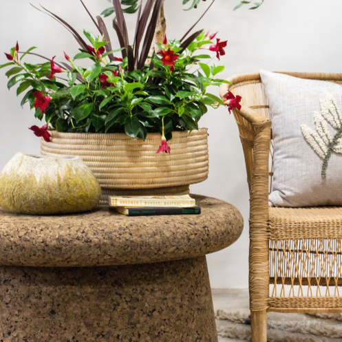 A white and deep yellow ombre wool decorative basket sits on a cork pedastal side table in front of a potted plant and beside a wicker chair with an ivory-colored throw pillow