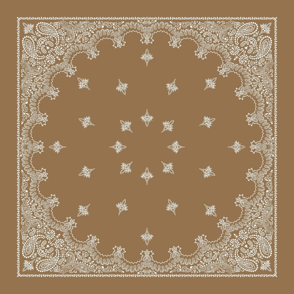 Judy Bandana | Vicuna