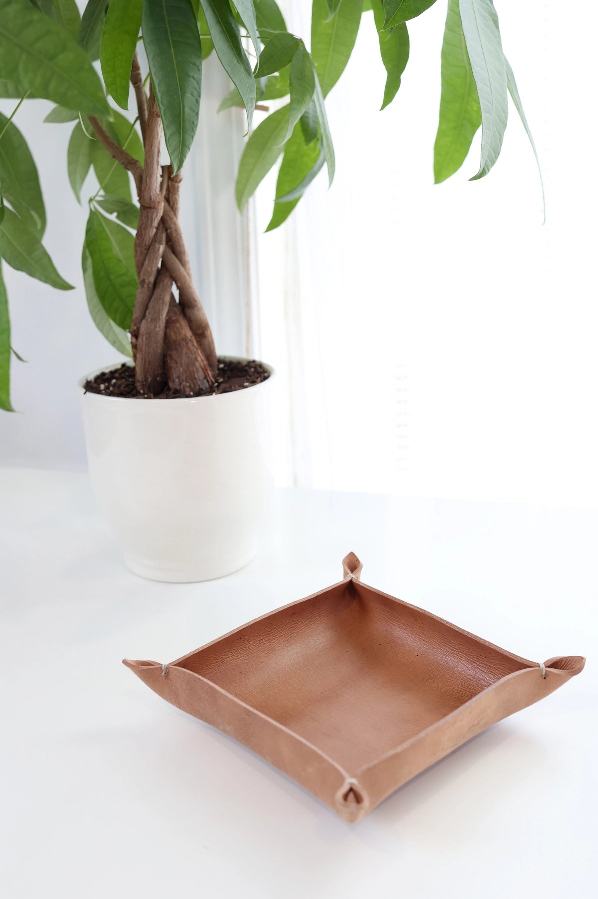 Juniper Leather Valet Tray | Solid