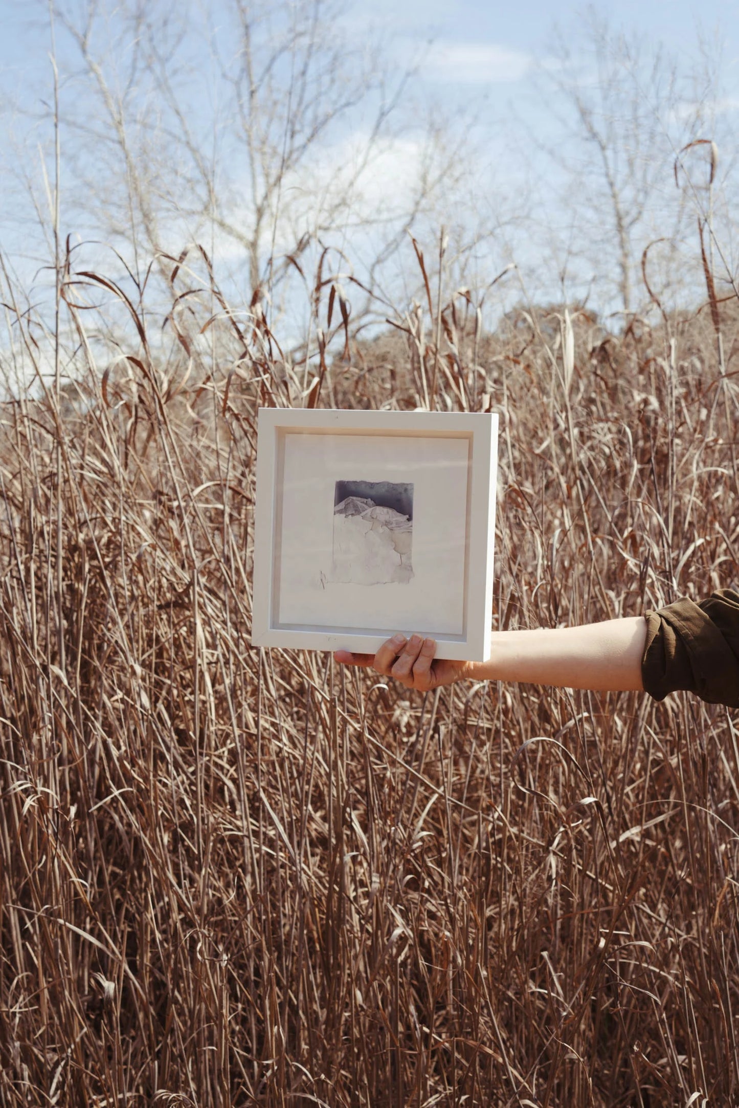 Framed Print | Collage 46