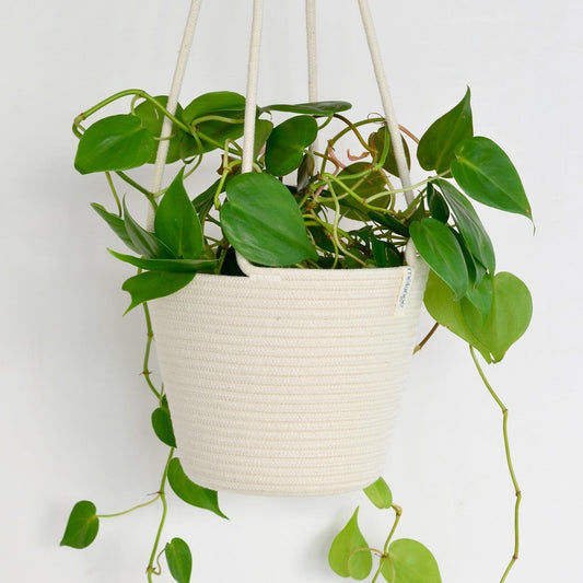 Hanging Rope Planter (Multiple Sizes)