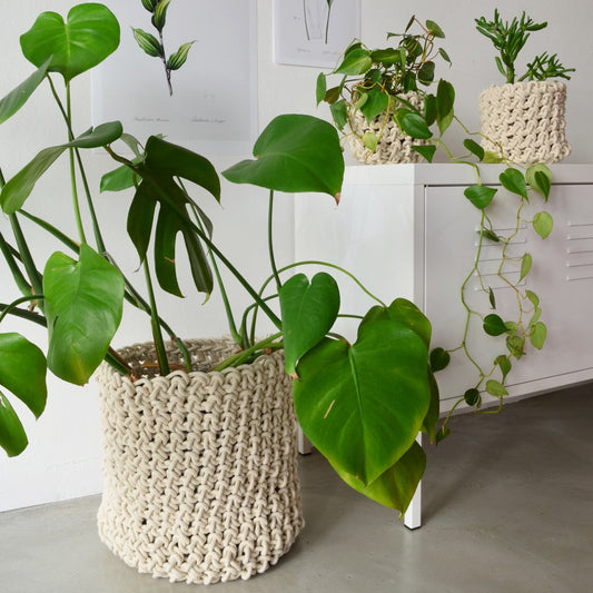 Handmade beige cotton rope basket used as a planter for a green potted plant, with another basket in the background.