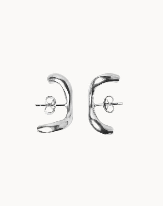 Pair of silver earrings on a white background