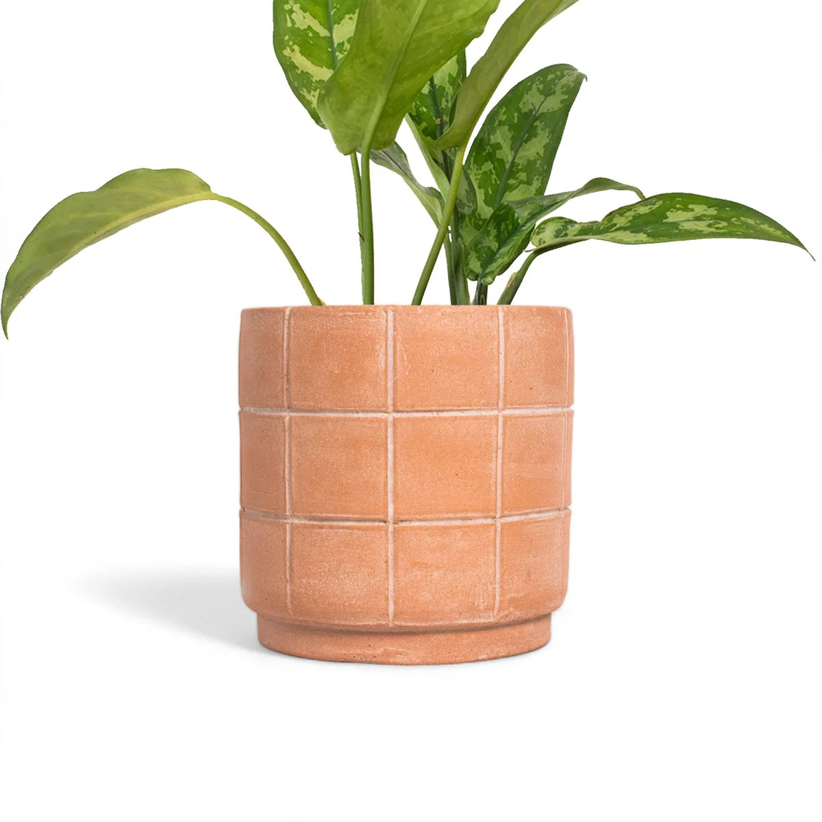 Grid Terracotta Planter (Small)