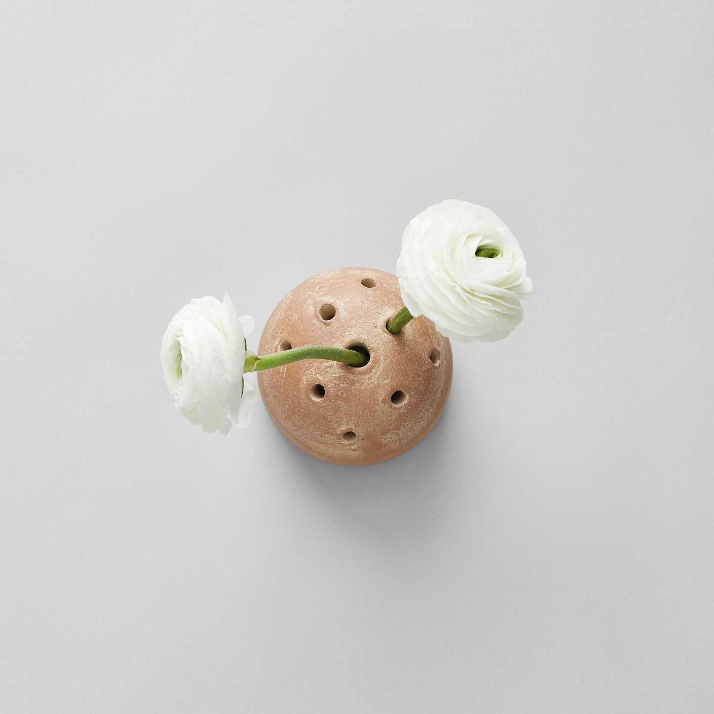 Terracotta Frog Vase