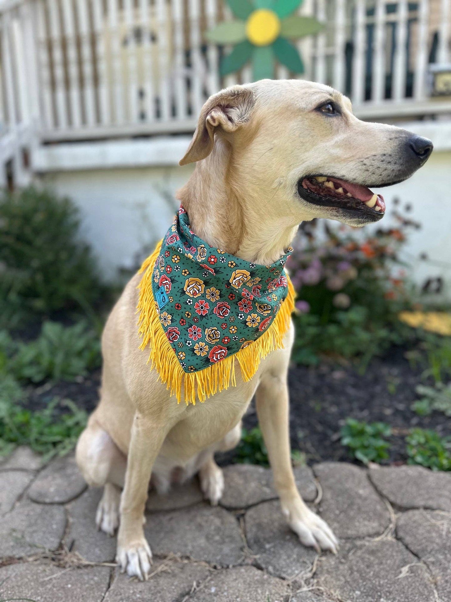 Fringed Dog Bandana | Tattoo Florals (Multiple sizes)