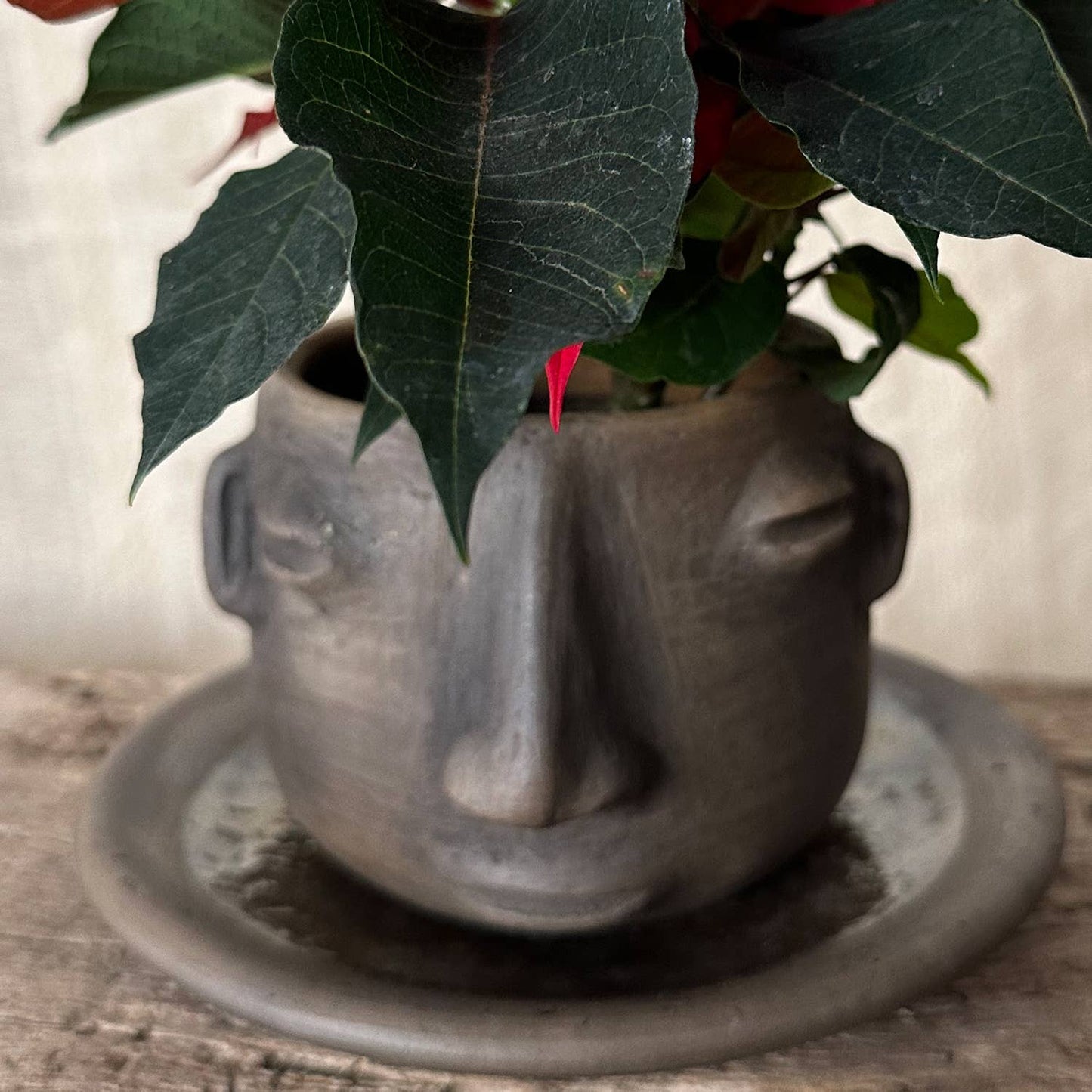 Oaxaca Face Cup | Large