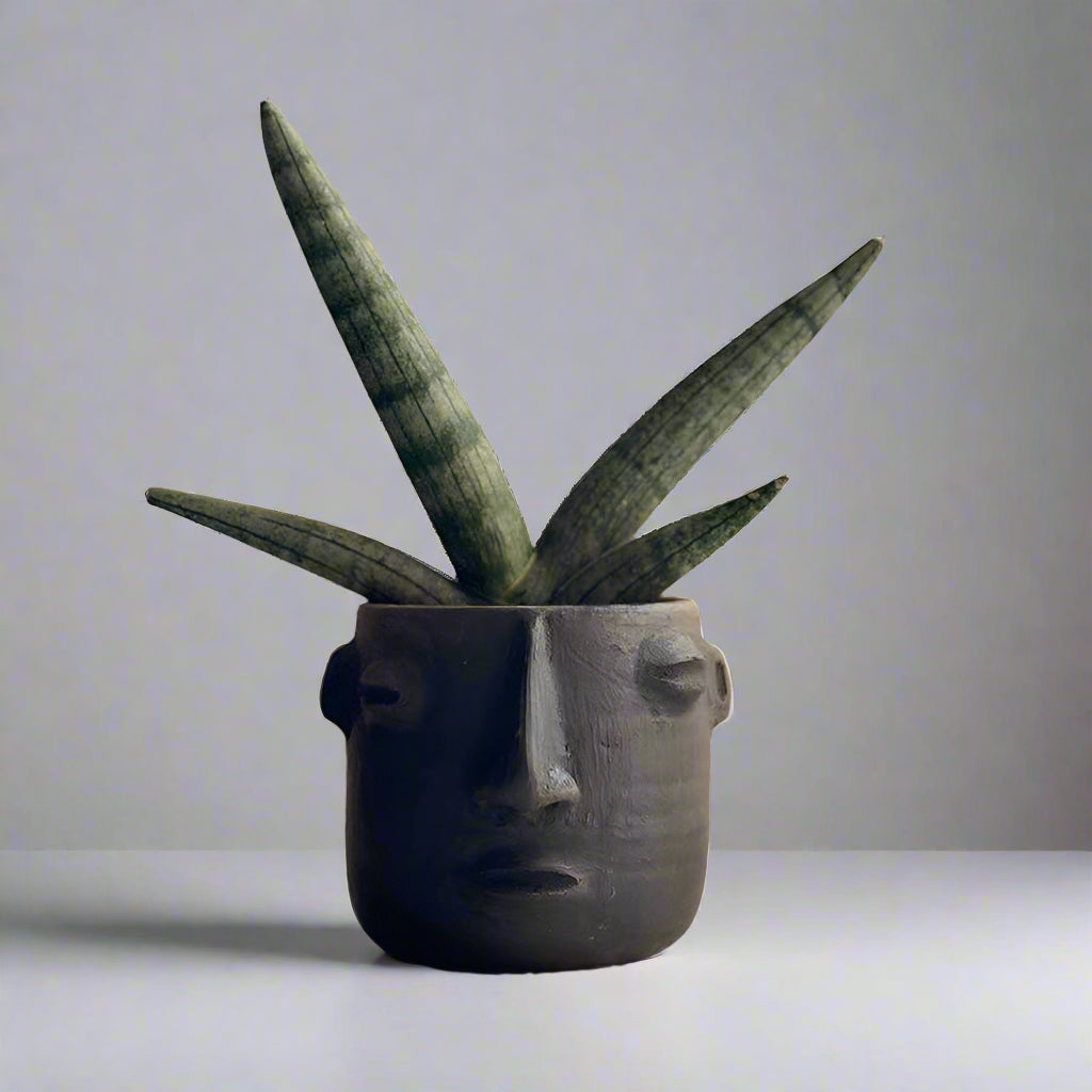 Ceramic face-shaped planter with a plant against a beige curtain background