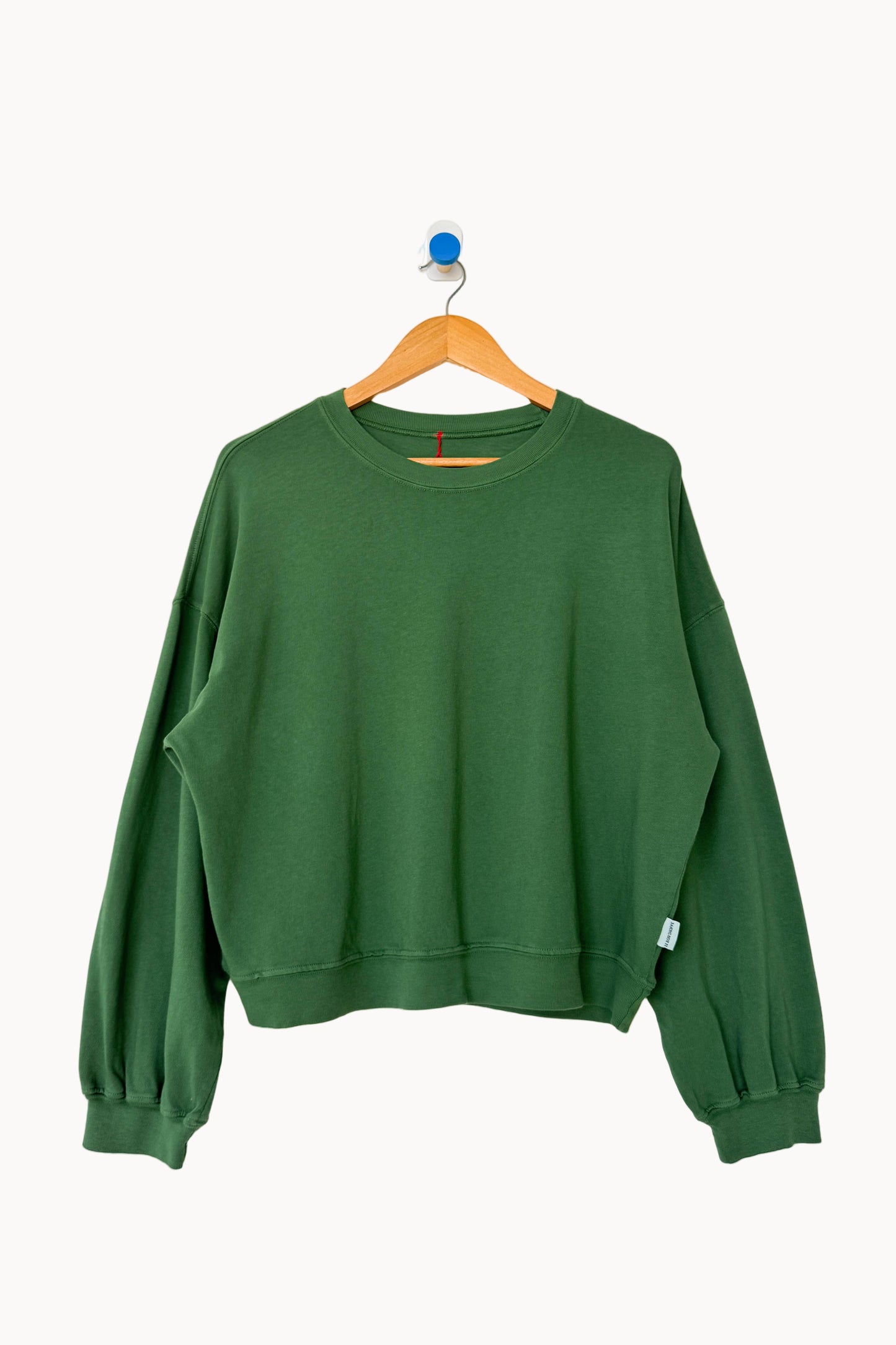 Green sweatshirt on a wooden hanger against a white background