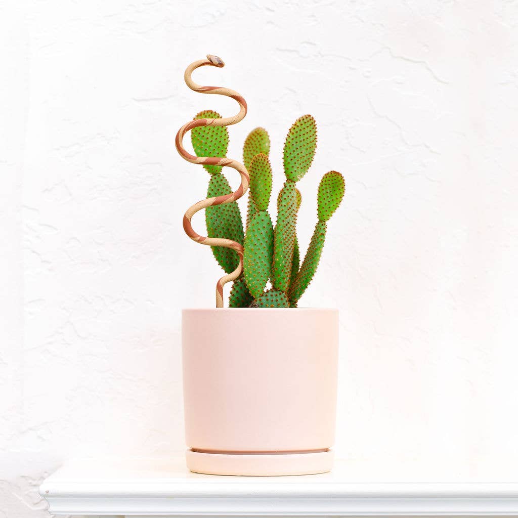 Snake Plant Stake | Sand + Terracotta