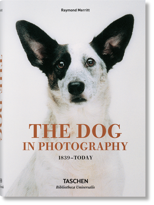 The Dog in Photography | 1839–Today