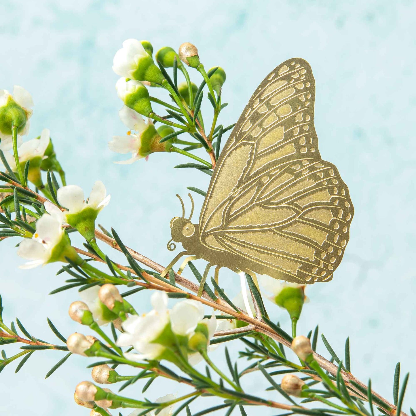 Brass Butterfly