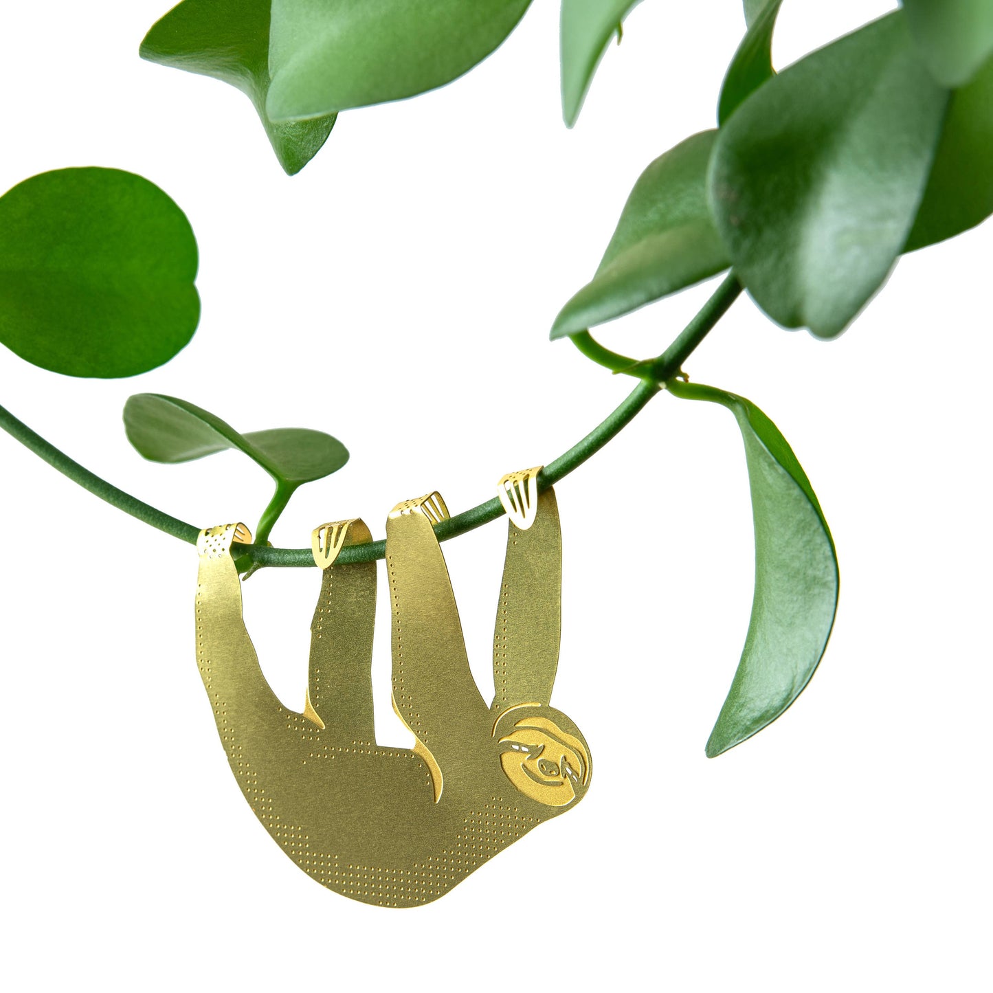 Brass Sloth