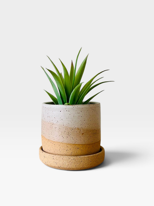 High Desert Planter | Small